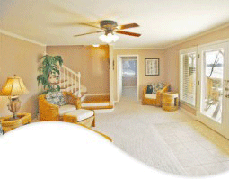 Professional cleaning services