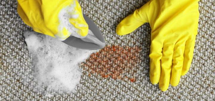 food stains on the carpet