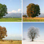 Fall Preperation Fall Preparation