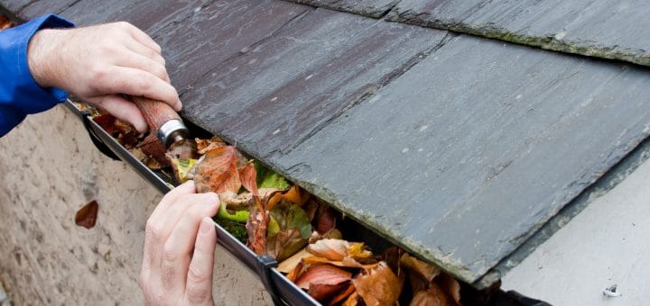 Content Cleaning - Austin, TX