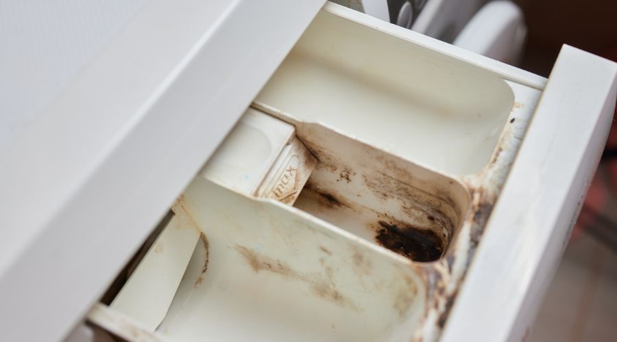 mold found in the detergent tray of washing machine