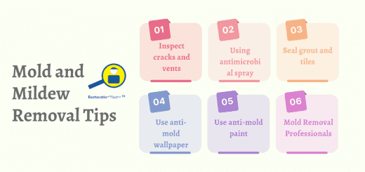 Mold and Mildew Removal Tips