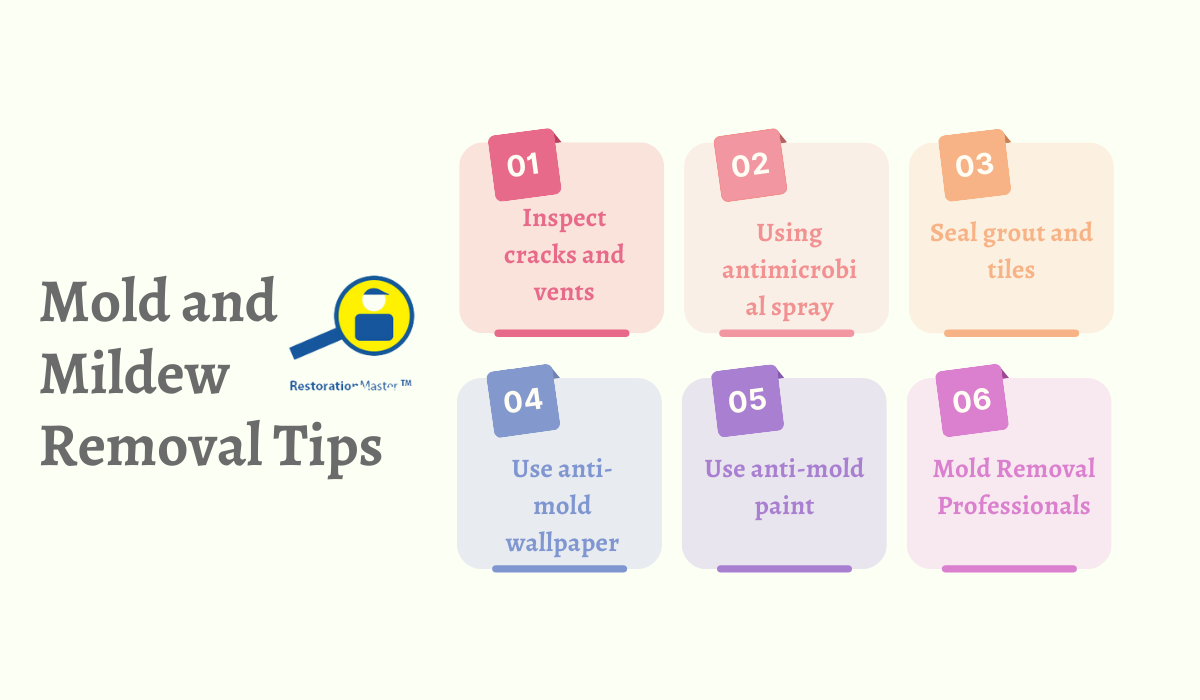 Mold and Mildew Removal Tips