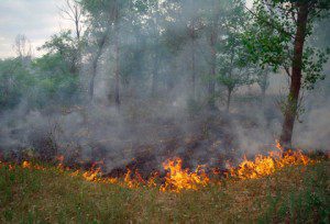 GeoMAC Wildfire Map GeoMAC Wildfire Map