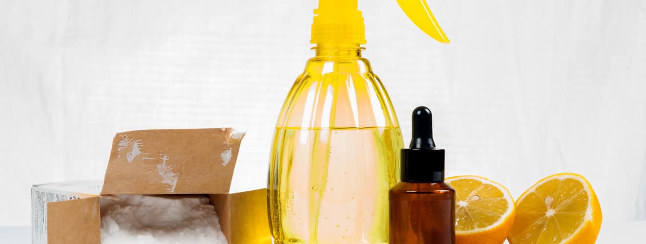 Summer-Cleaning-Tips-and-the-Cost-of-Carpet-Cleaning