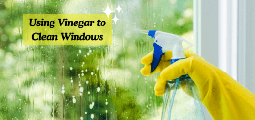 vinegar to clean windows