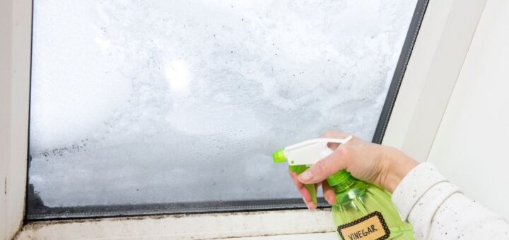 mold removal natural remedies