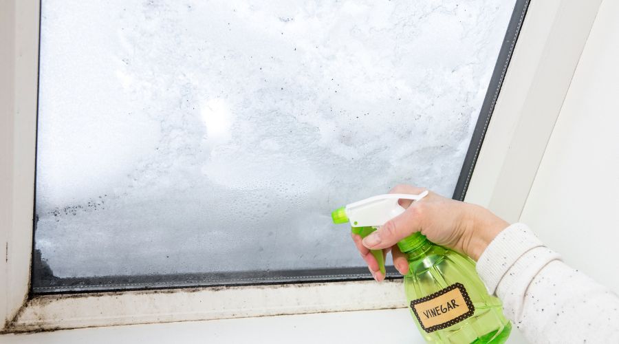 mold removal natural remedies mold removal natural remedies