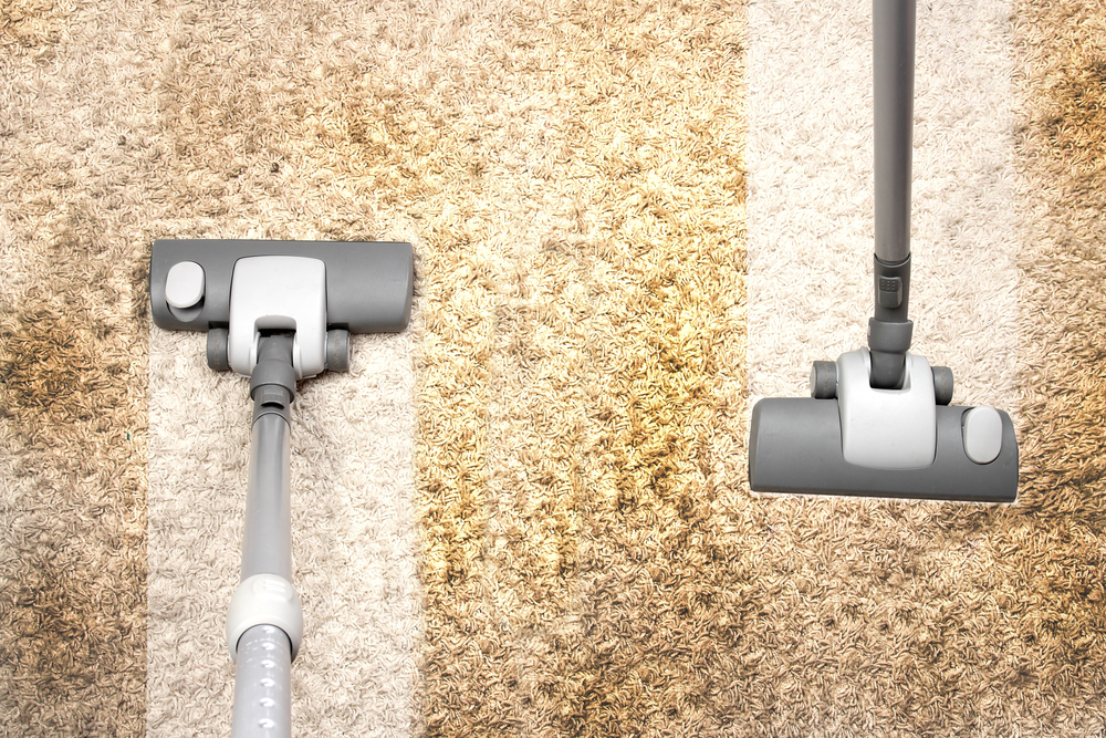 Carpet Cleaning Tips