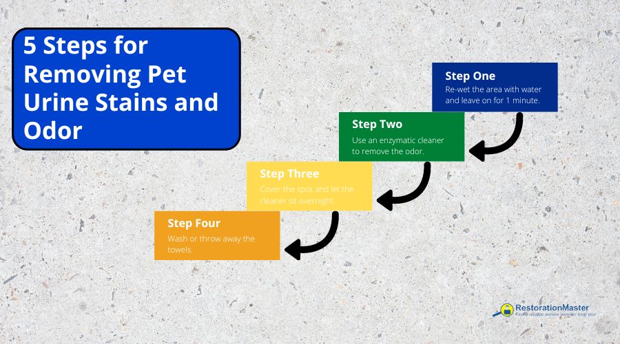Neutralizing Pet Odor - RestorationMaster