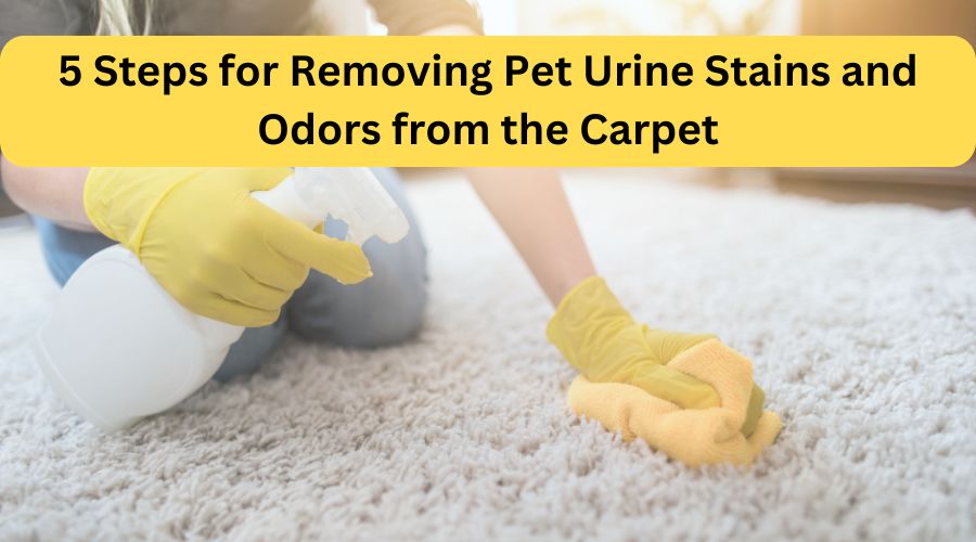 Removing Pet Urine and Odor - RestorationMaster