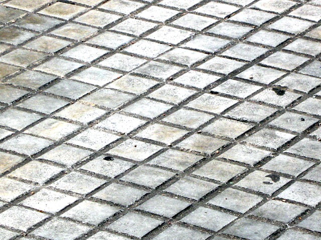 Mold Removal for Businesses and Schools