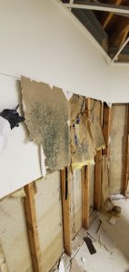 Mold in Walls - Hidden Mold - Black Mold Mold in Walls - Hidden Mold - Black Mold