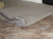 professional carpet cleaning
