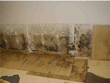 DIY mold removal in Glendale, CA - Hidden mold, formally behind the bathroom vanity.