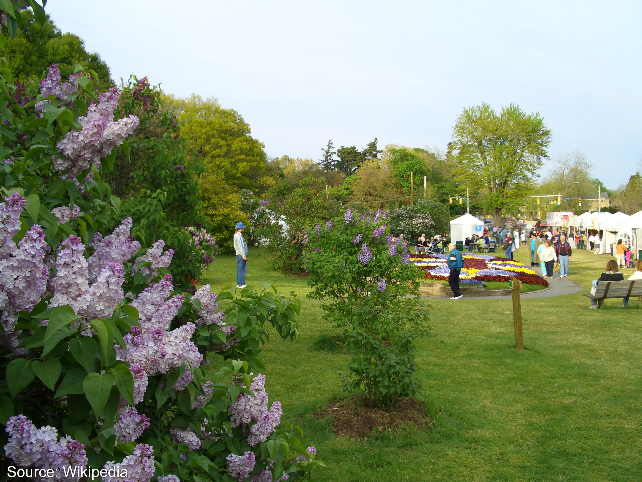 The 2005 LilacFestival in Rochester NY