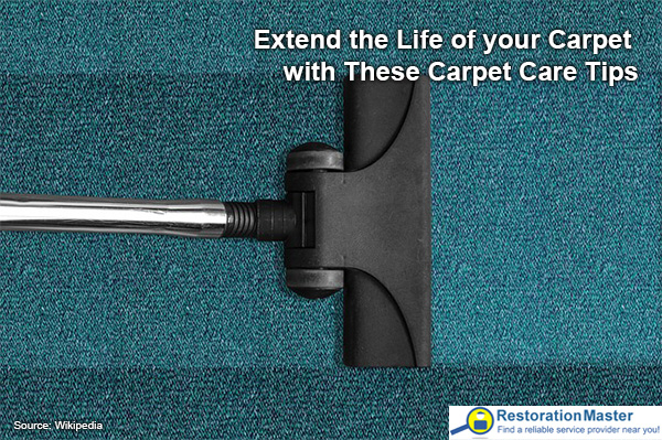 how to keep your carpets fresh