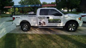 Wildlife removal truck