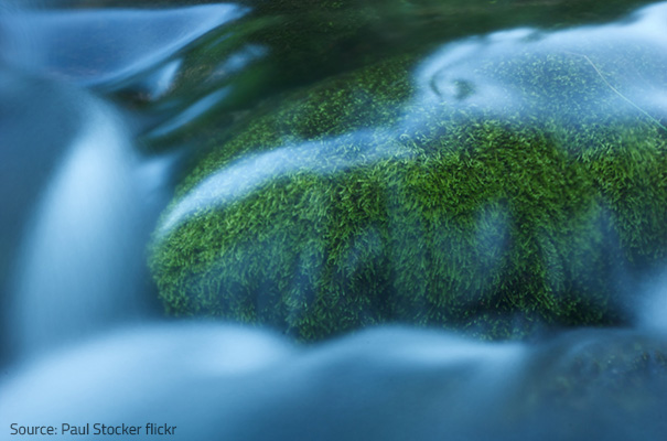 Preserve the purity of Nature!