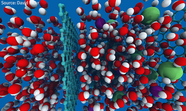 Hydroxyl molecules abstract hydrogen atoms.
