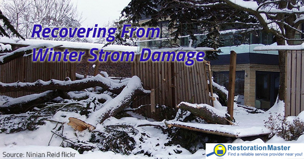Recovering from winter storm damage is not easy.