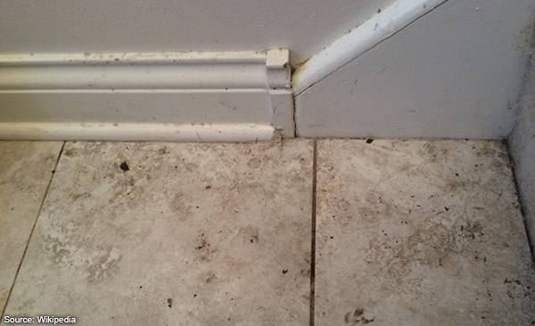 Keep your floor clean in the winter