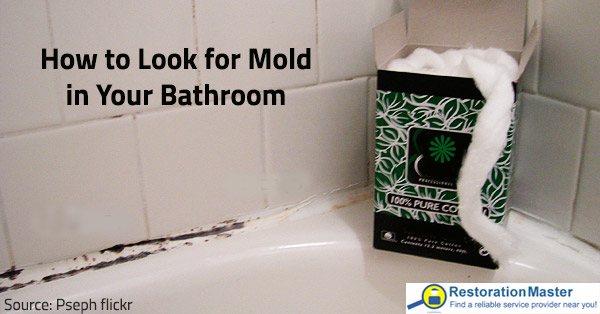 Take adequate measures to prevent mold growth.