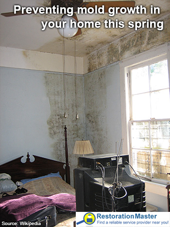 Mold growth in a home
