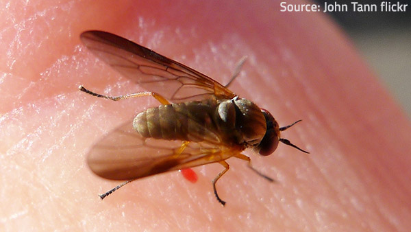 Pest control Pests are harmful in many ways.