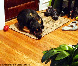 Designate an appropriate place where to keep your outdoor shoes.