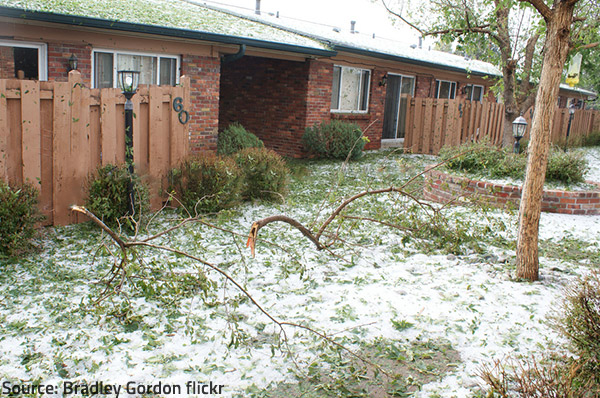 Do your best to avoid hail damage.