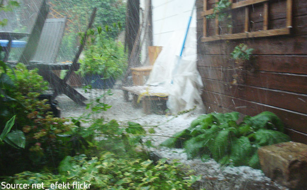 You are advised to call professional help in the event of extensive hail damage.