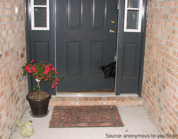 Welcome your visitors and give them a subtle clue to protect your property.