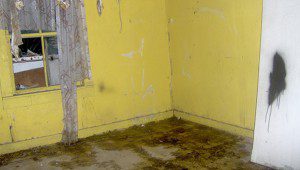 mold damage in bedroom Removing Odors from Mold and Water Damage