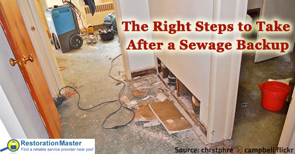 flood damage and sewage backup