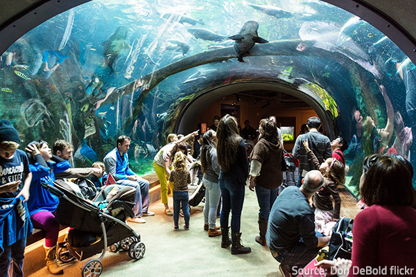 San Francisco museums are very interesting.