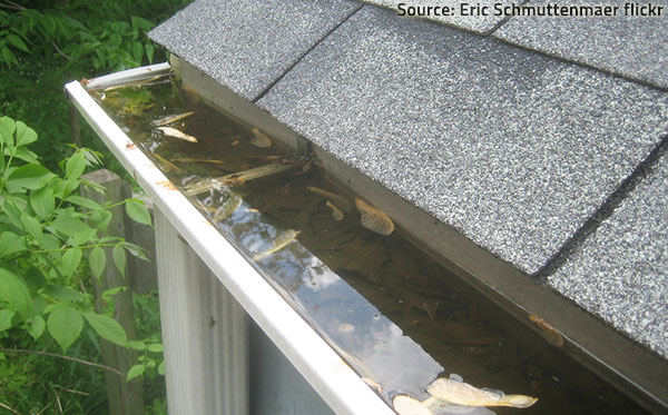 Make sure water can drain off the roof and away from the house.