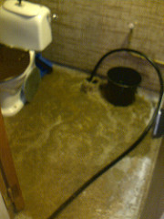 Water Damage Health Risks