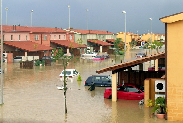 Homeowner's insurance coverage excludes floods, sewage backups, mold, and other common perils.