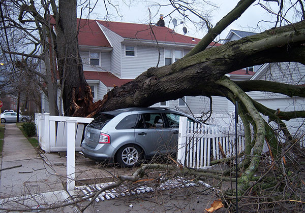 Make sure your insurance policy covers the most common perils in your area.