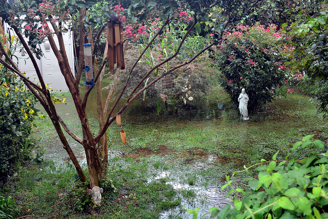 flooded backyard