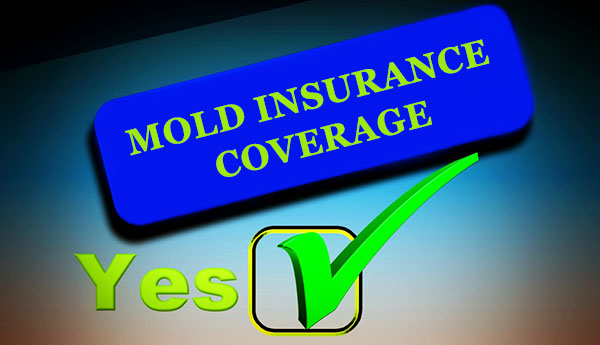 Is mold covered by your homeowners insurance policy?