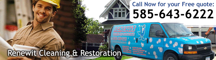 Renewit Cleaning and Restoration Gets Spotlight Piece in Recent Democrat & Chronicle
