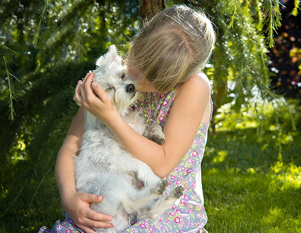 Pets are part of the family.