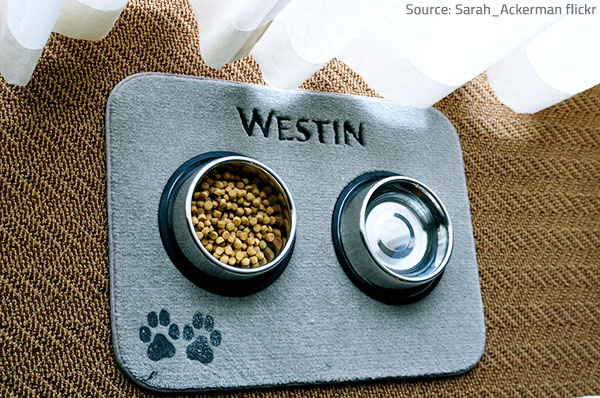 Make a list of pet-friendly hotels outside your immediate area, so that you know where to go in case of a disaster.