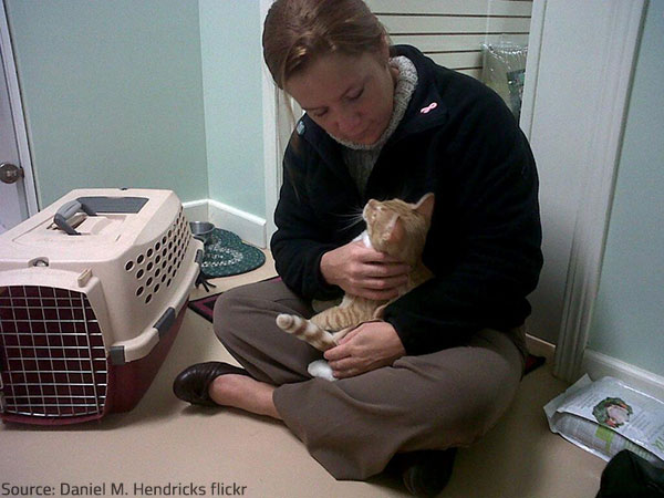 To protect your pets from a natural disaster, you need to take adequate preacautions.