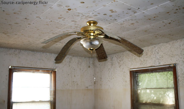 Looking for Hidden Damage after a Storm Water damage is often difficult to detect until it is already too late.