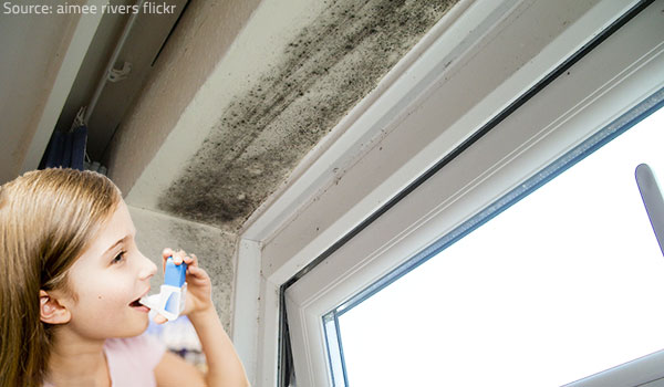 health effects of mold The health effects of mold can be very serious.