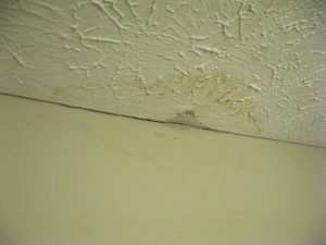 mold and water damage on ceiling Water_Damage