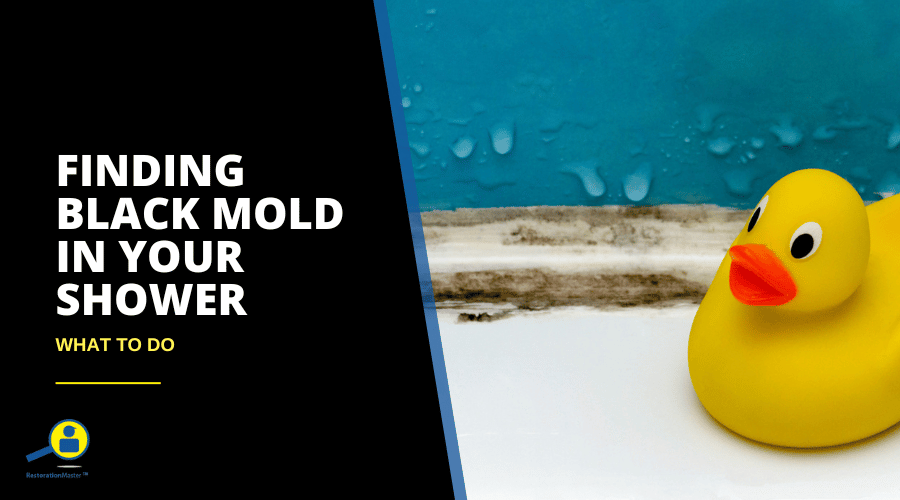 Finding Black Mold in Your Shower What to Do